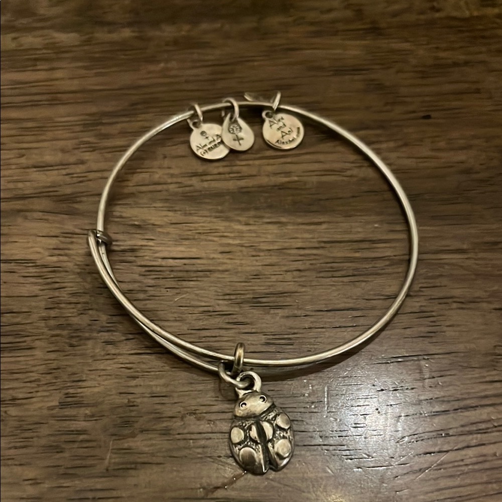 Alex and Ani Silver Minimalist Charm Bracelet